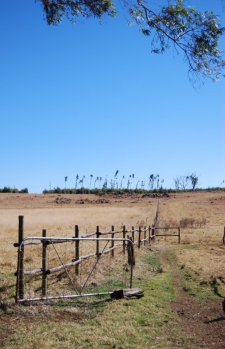 The Gate
