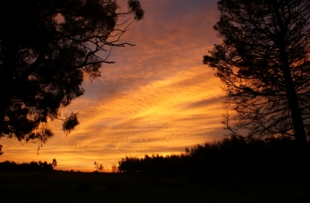 Sunset from the back door.